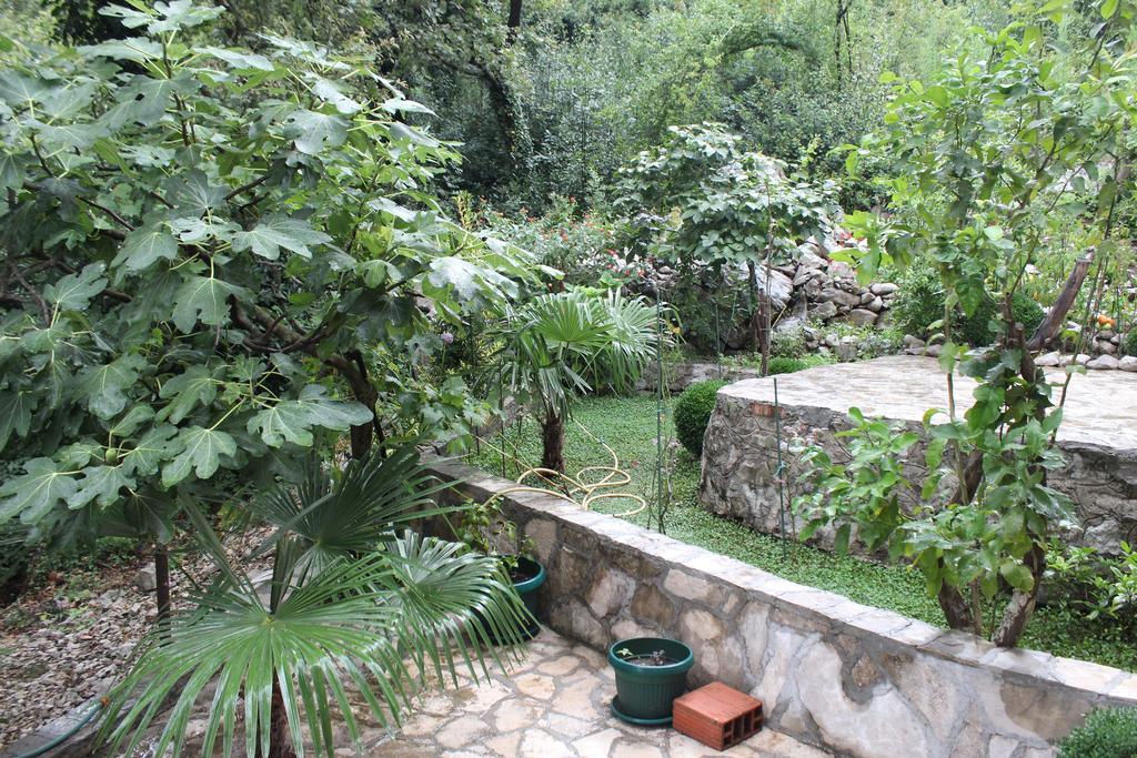 דוני מוריני Apartments Mijuskovic מראה חיצוני תמונה